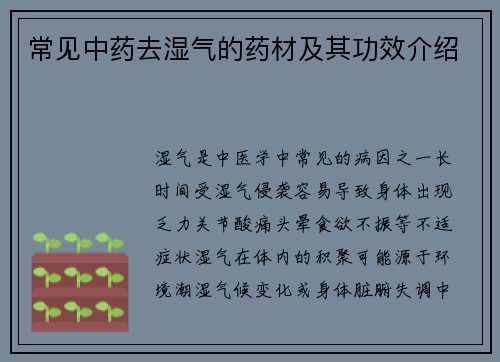 常见中药去湿气的药材及其功效介绍